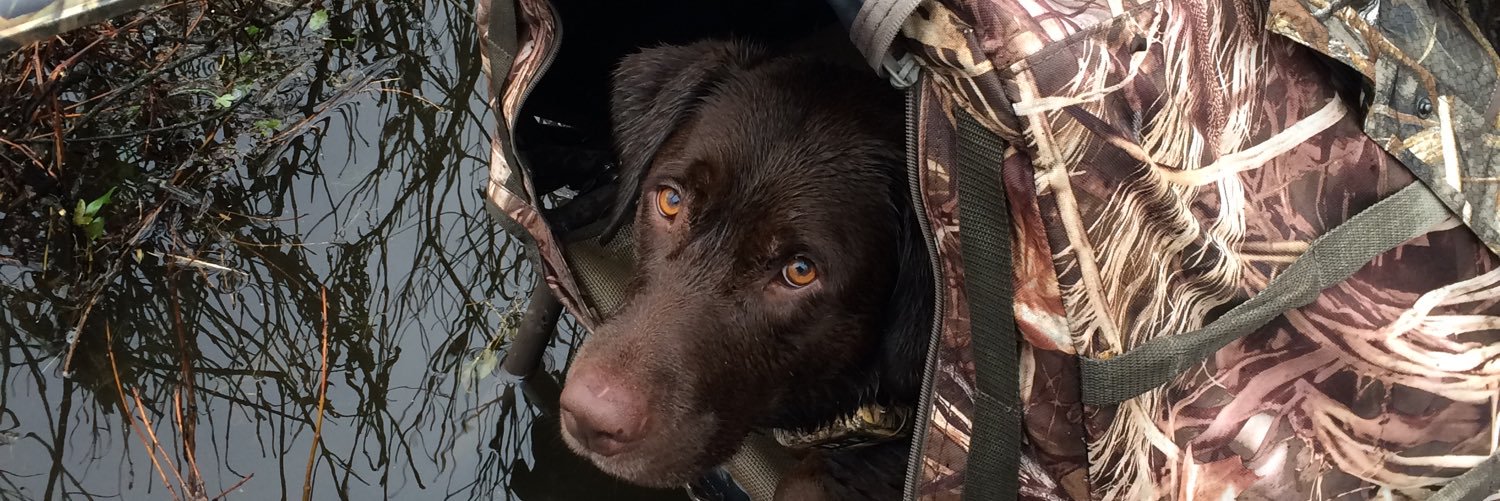 wyattwalker10's profile banner image