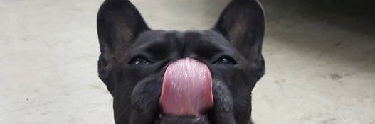 @36HandicapHero banner