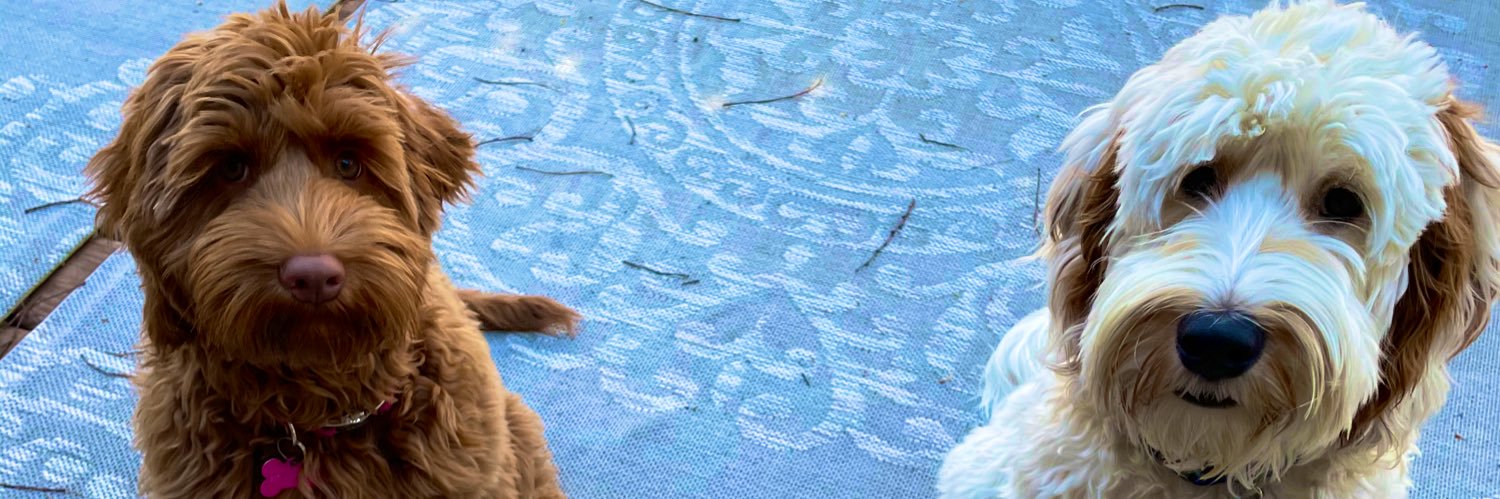 baibrigg's profile banner image