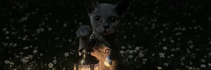 lautsagara_'s profile banner image