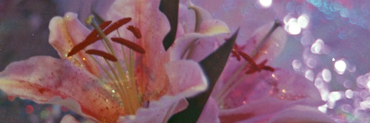 kathrynfoucha's profile banner image