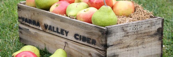 YVCider Profile Banner