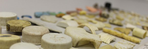 SeabirdSentinel Profile Banner