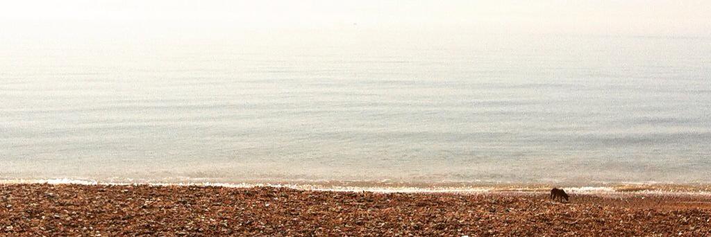 lauraMmac's profile banner image