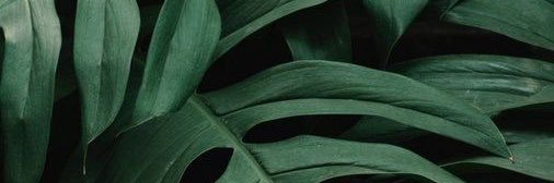 brrii_t's profile banner image