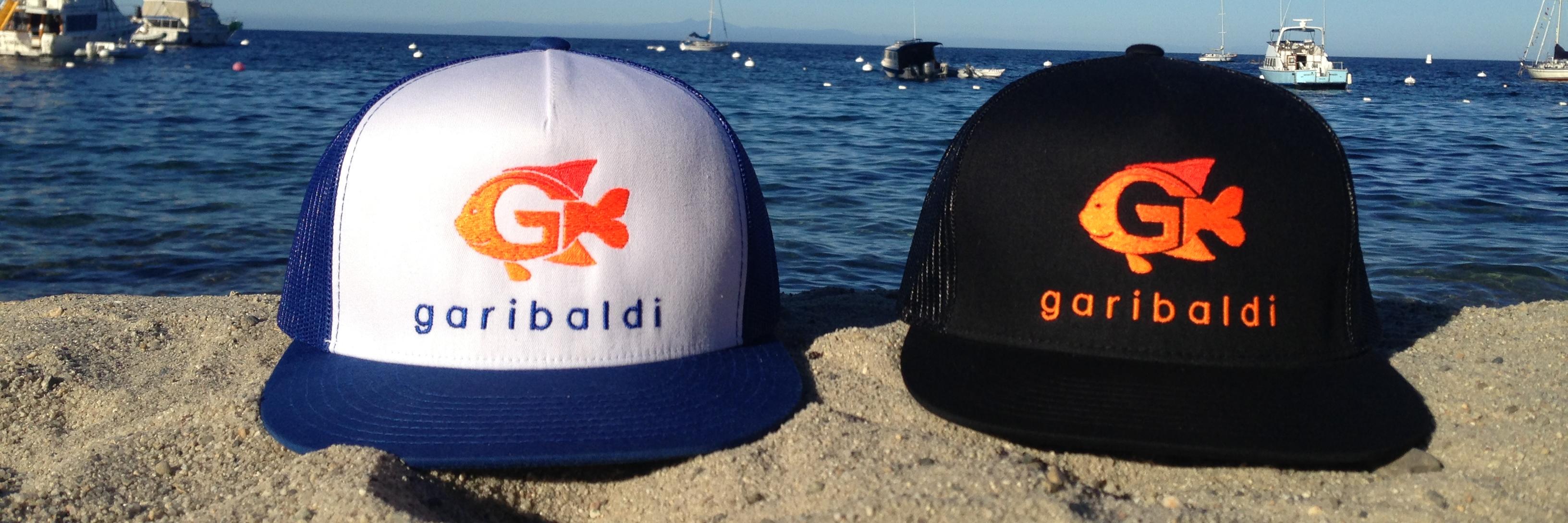 garibaldi_fish's profile banner image