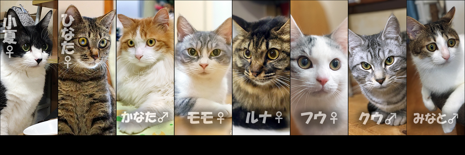 あきや～ま banner