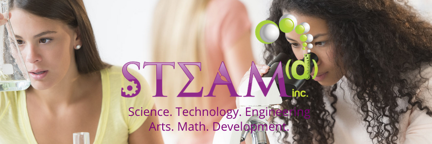 STEAMdinc banner