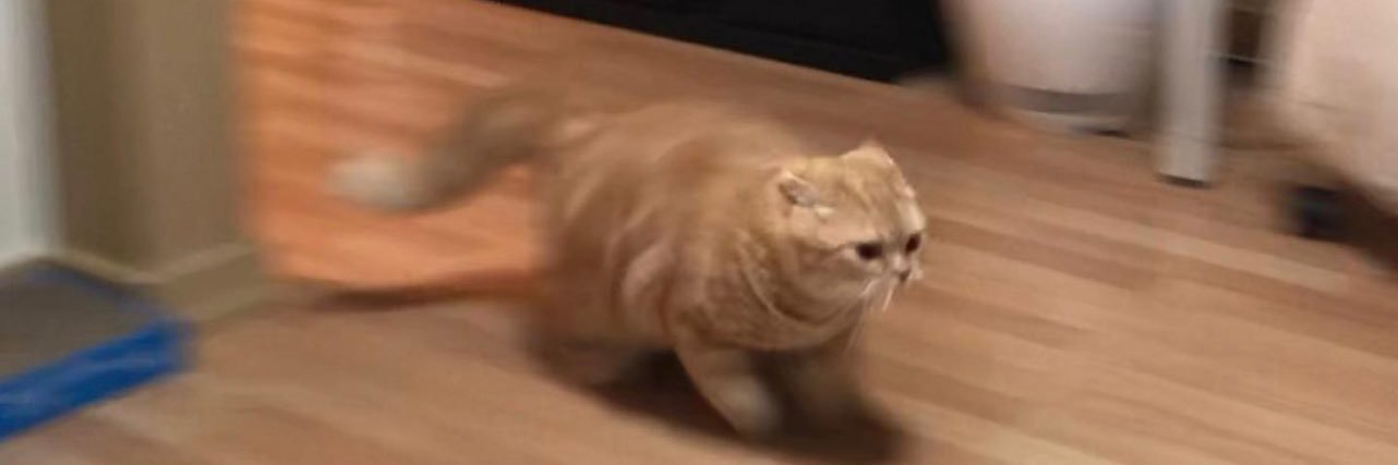 Msdestiny5's profile banner image