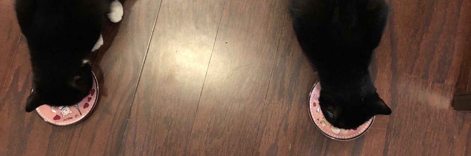 riprollz's profile banner image