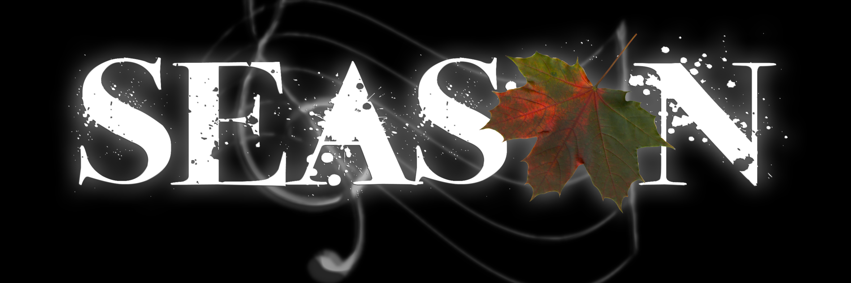 SeasonBeats's profile banner image