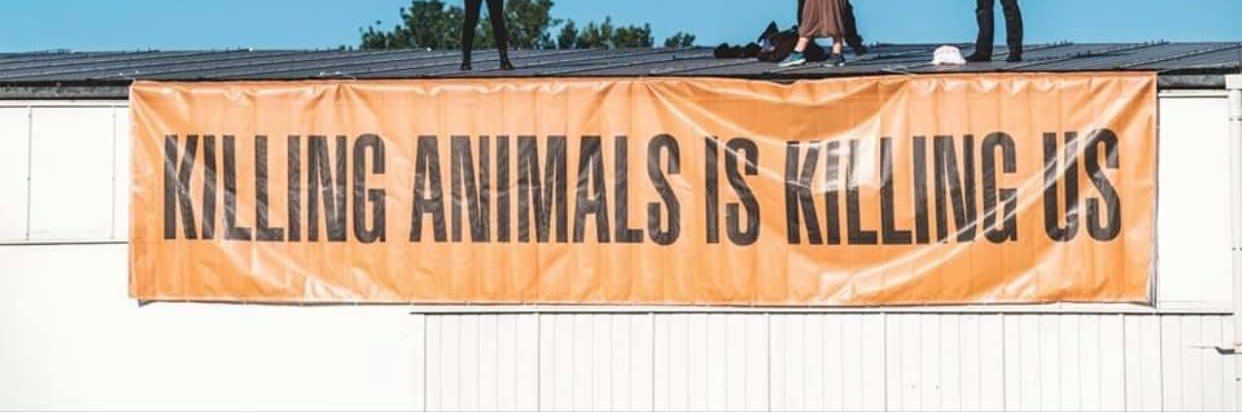 Kreesan banner