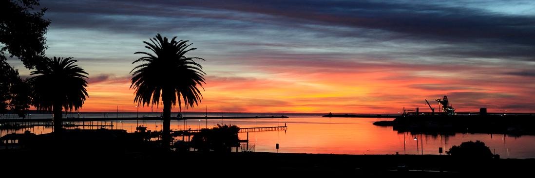 portland observer banner