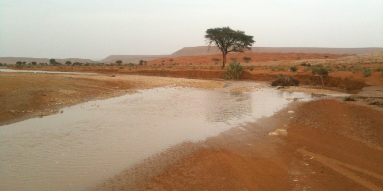 ابو يوسف banner