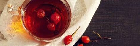 RoseHip2525's profile banner image