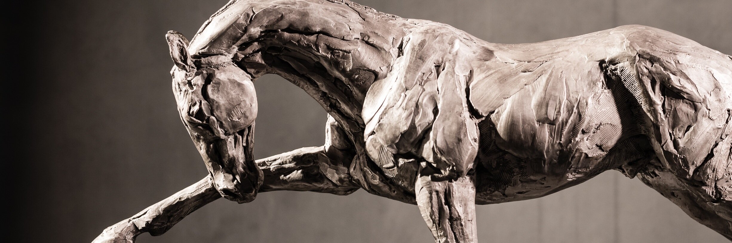 SRevennaugh1's profile banner image