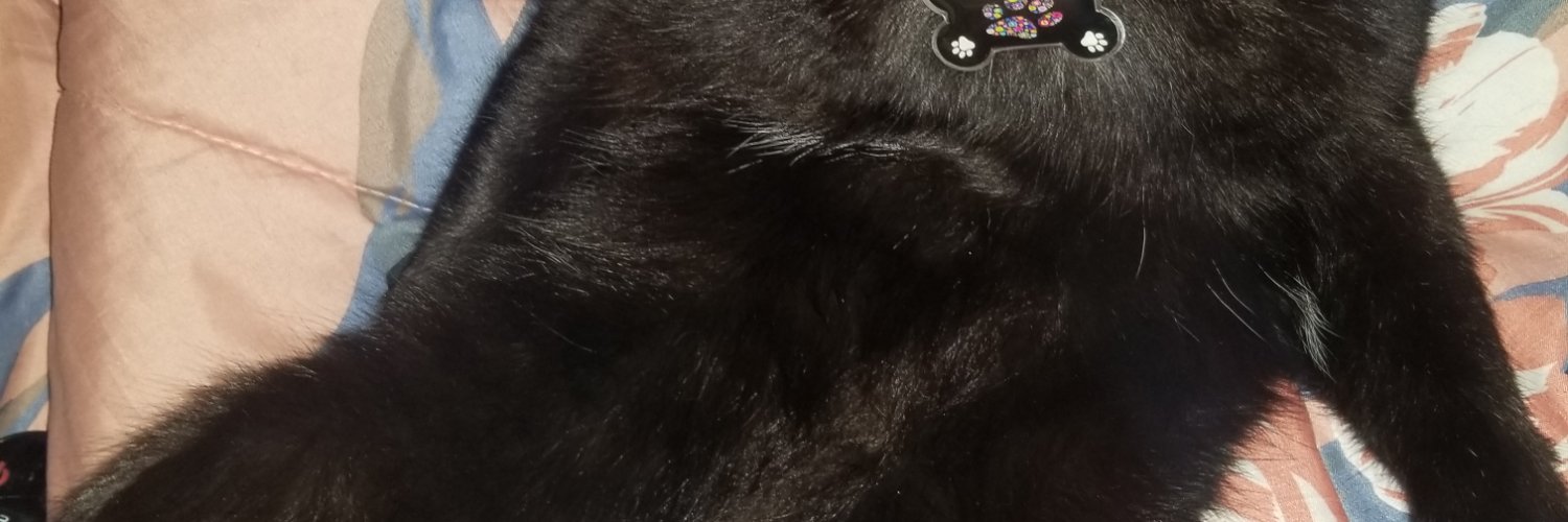 monisu270's profile banner image