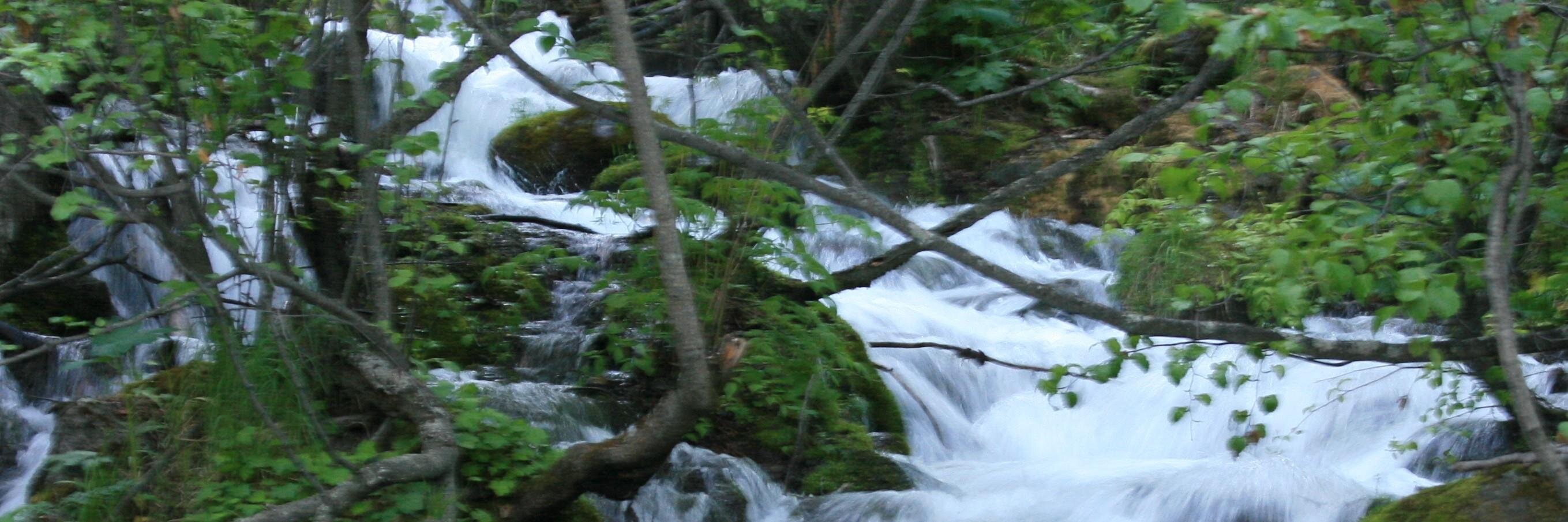 TracyAlbrecht1's profile banner image
