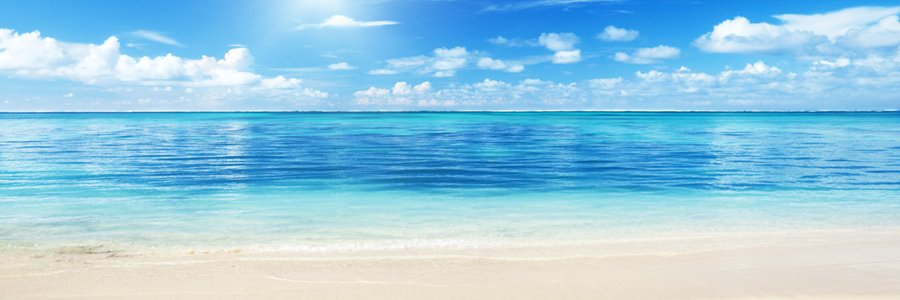 murf5646's profile banner image