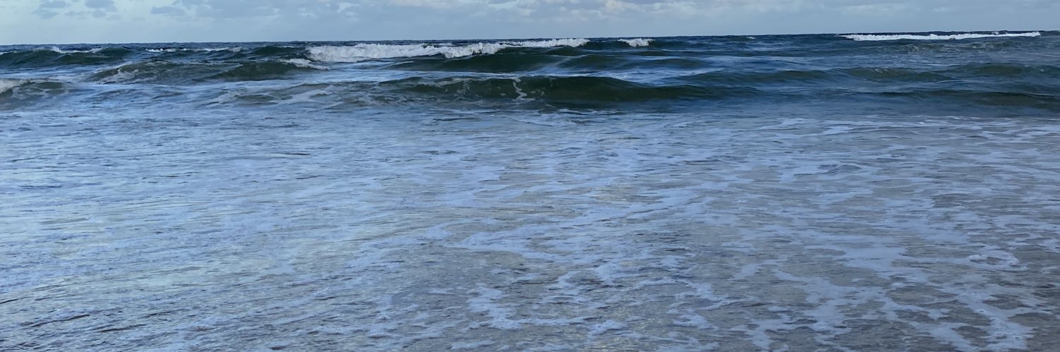 JosefinaRusch's profile banner image
