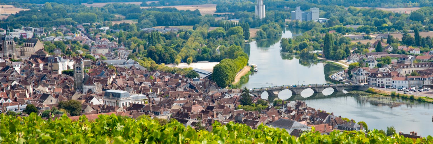 Nicolas Soret banner