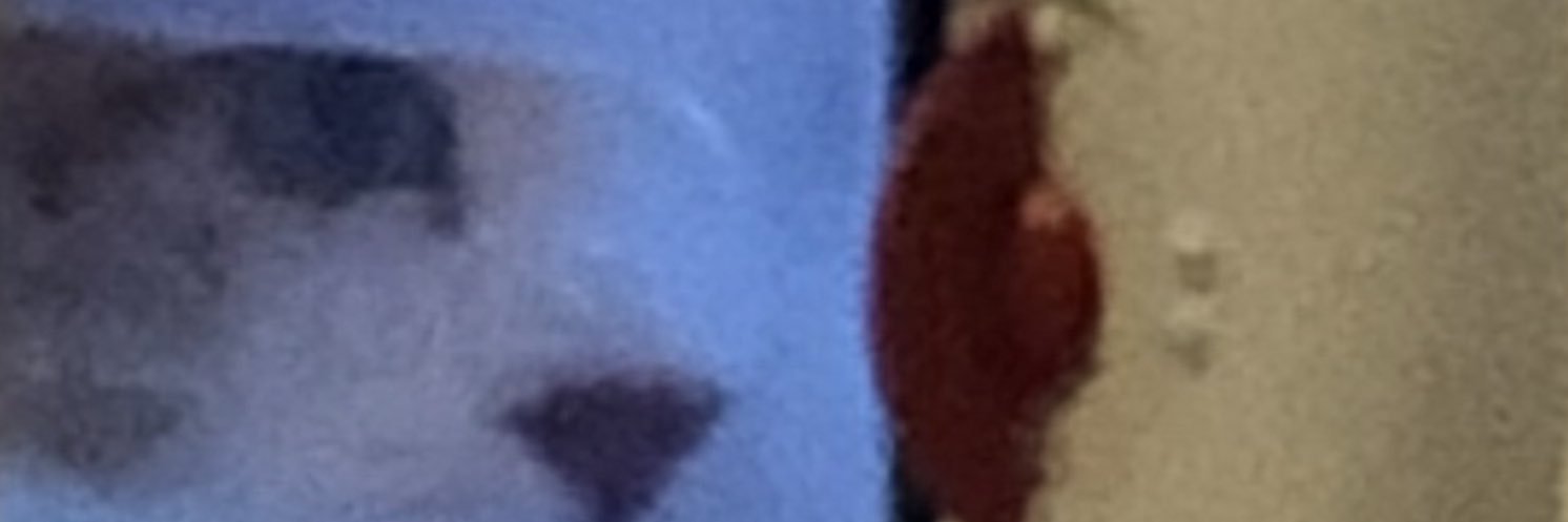 Dylev98's profile banner image