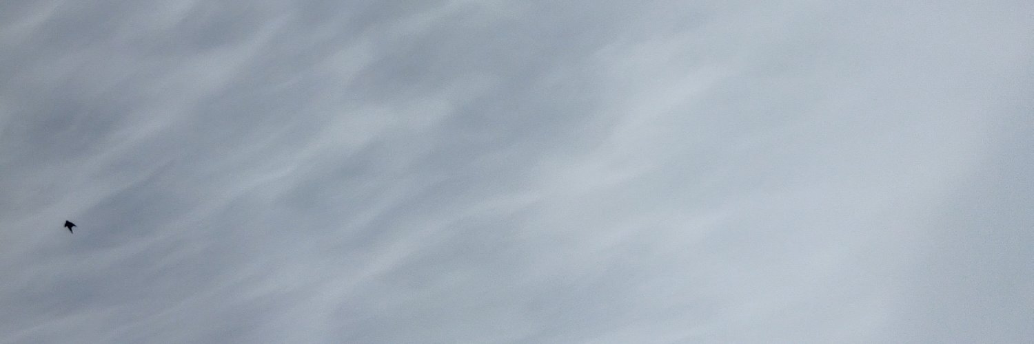 putmentarii's profile banner image