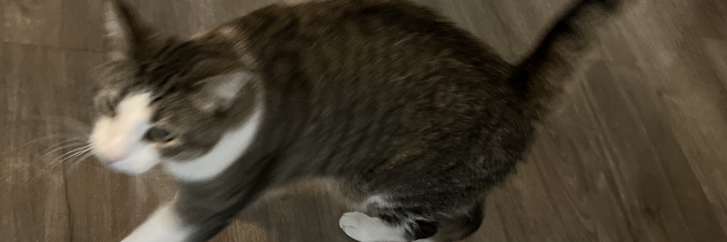 Xavier Patterson banner