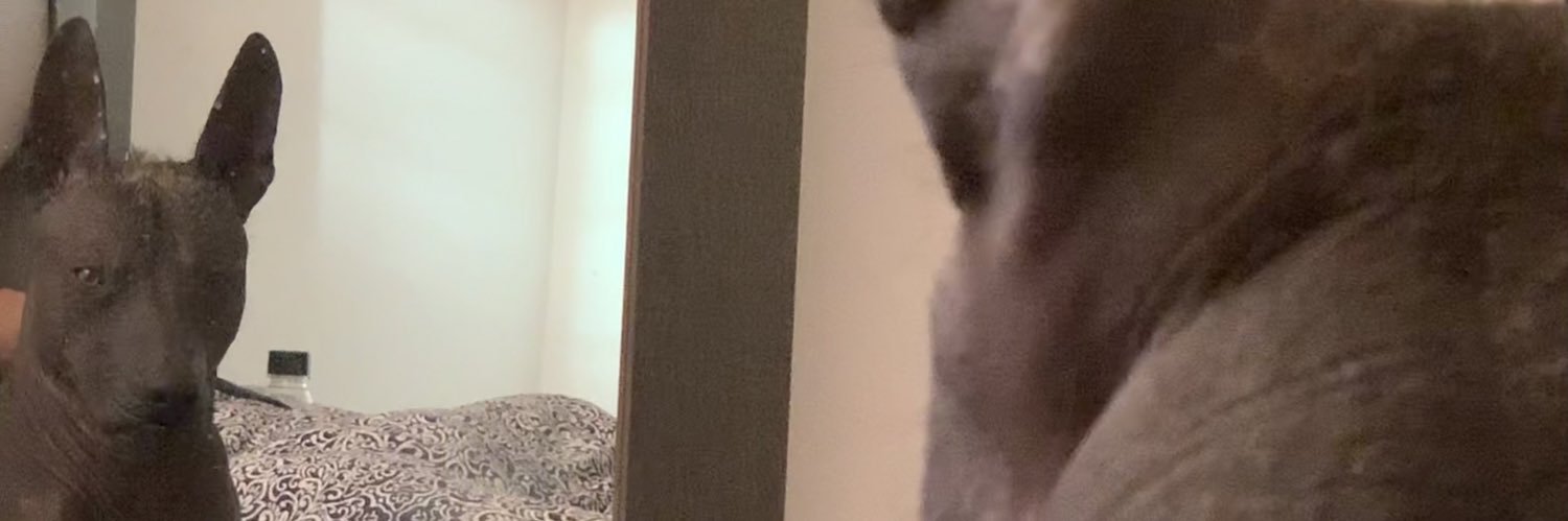 pacomoib's profile banner image