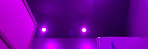 joytwinnie's profile banner image