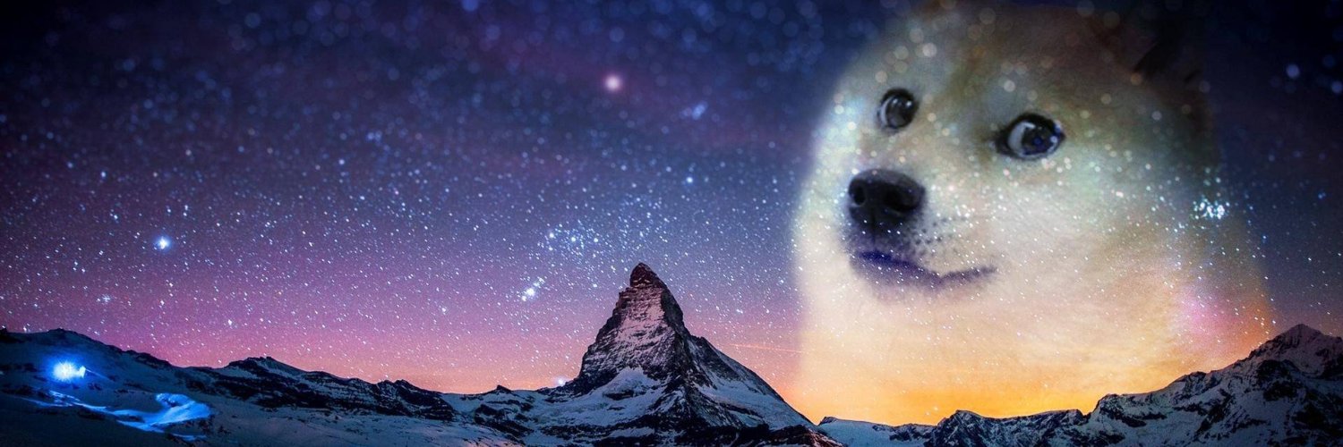 Dogecoin Foundation's banner