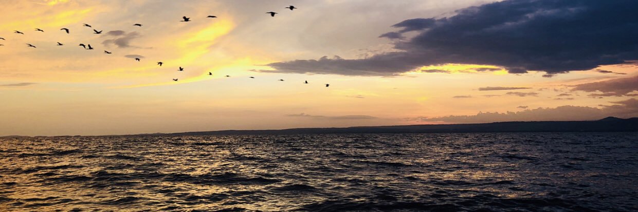 MadlenAyoub's profile banner image
