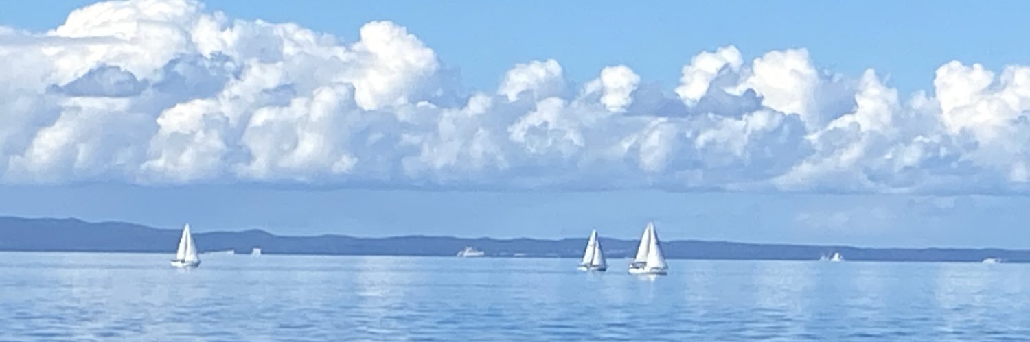 Nic Constable banner