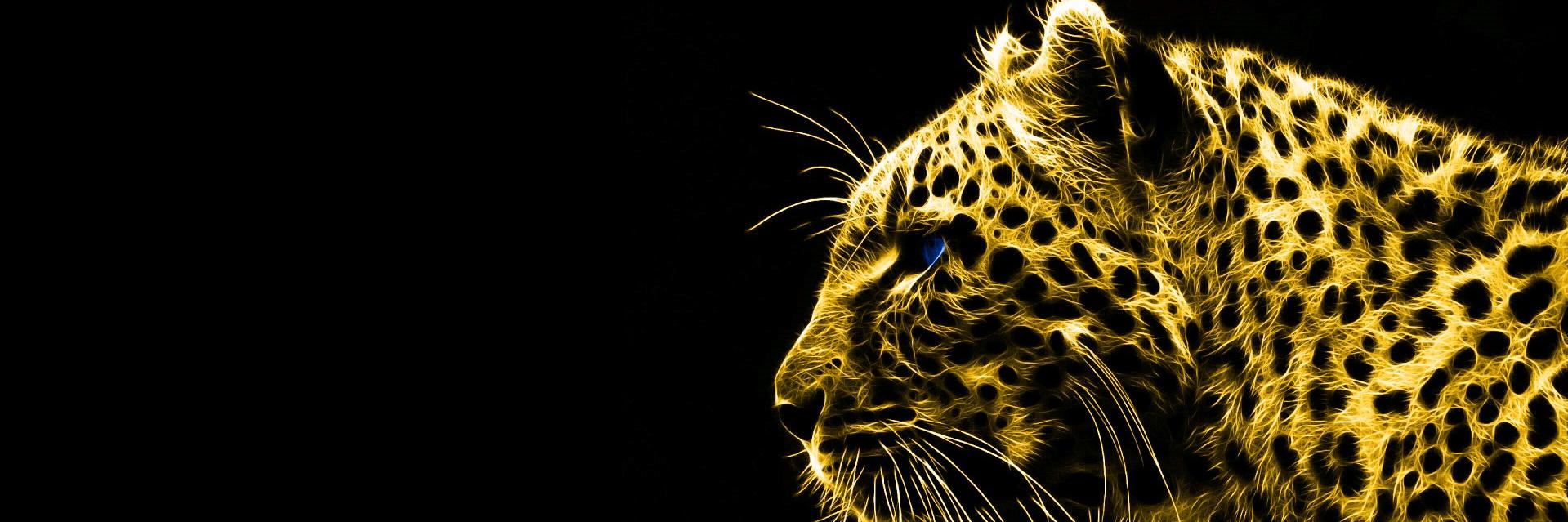 alistairroque's profile banner image
