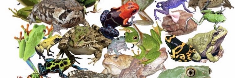 larryg6464's profile banner image