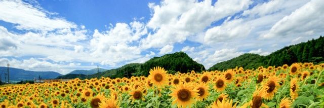 babysky364's profile banner image