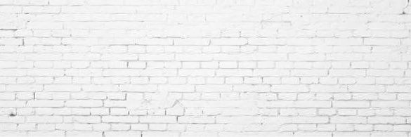 cheezenicole's profile banner image