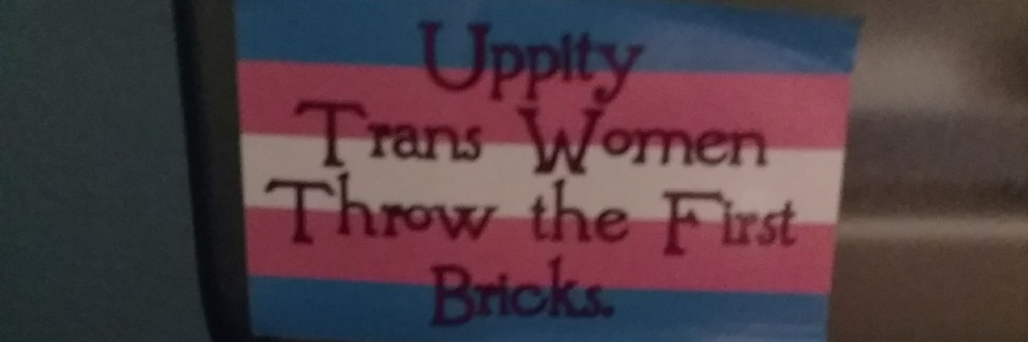 Evie is stuck on WIP island banner