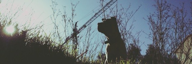 adelabd26's profile banner image
