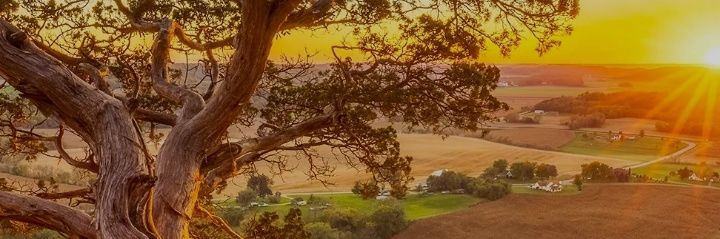 MichelleBatoum's profile banner image