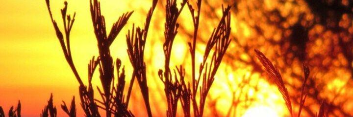 novadhitya5's profile banner image