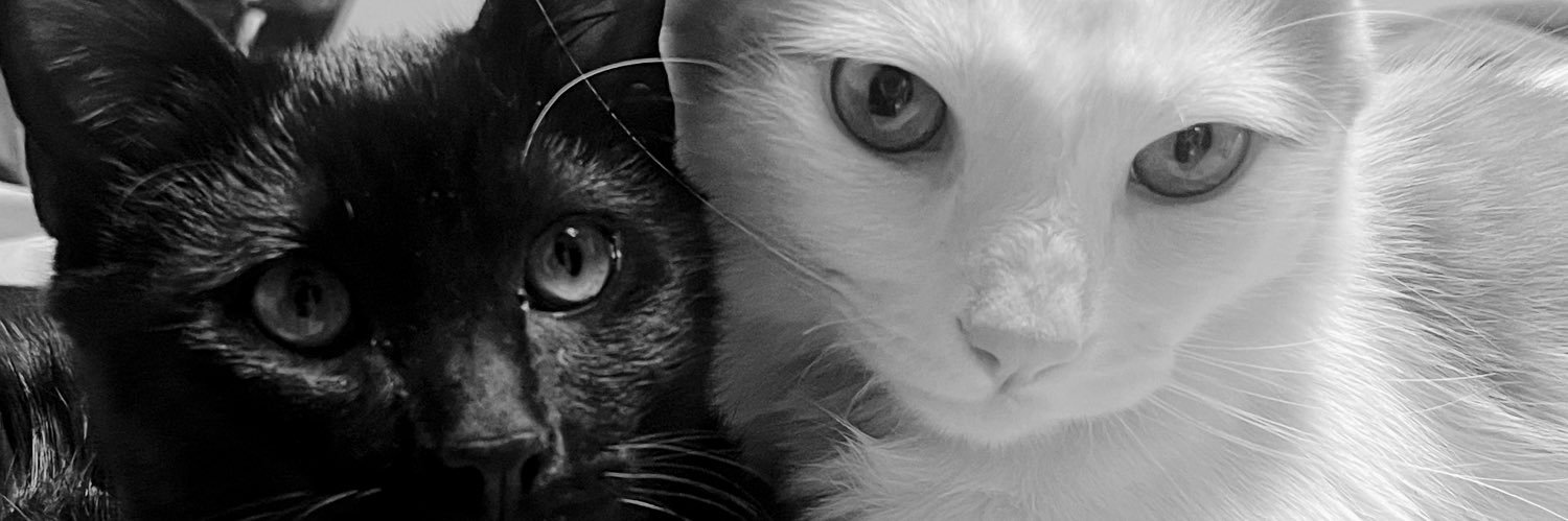 lamalilla_'s profile banner image