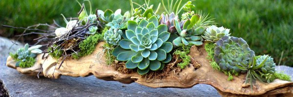 GardenAnswer Profile Banner