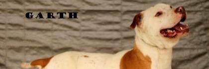 schs4animals's profile banner image