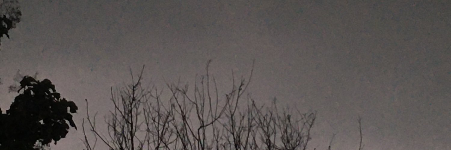 Fancyyyyyouuu's profile banner image