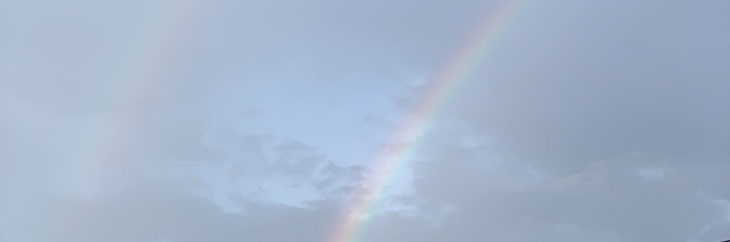 widyaPgstty's profile banner image