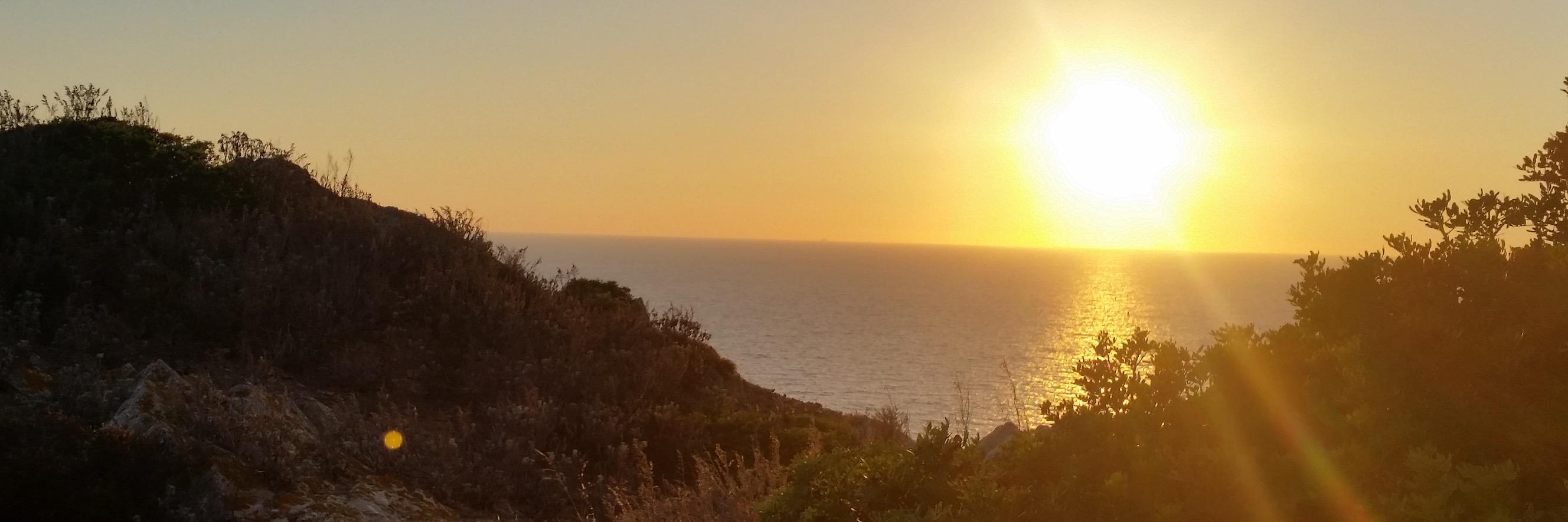 emanuelamora's profile banner image