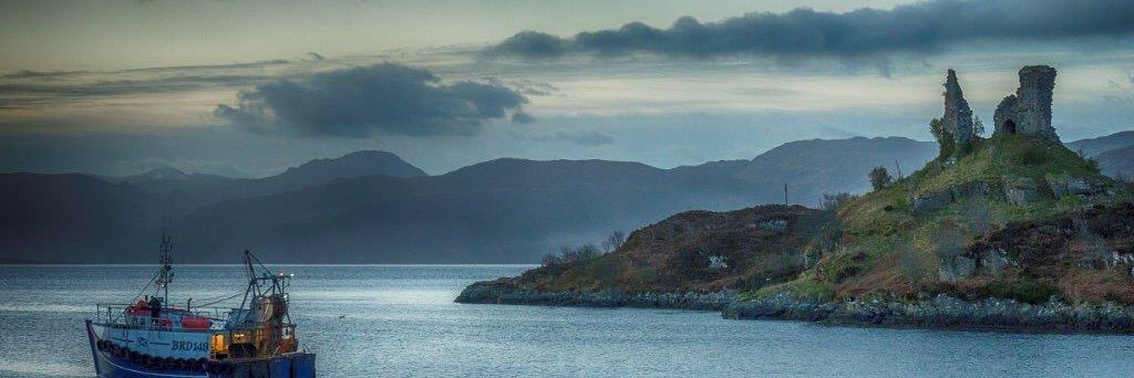 Andrew Clampett banner