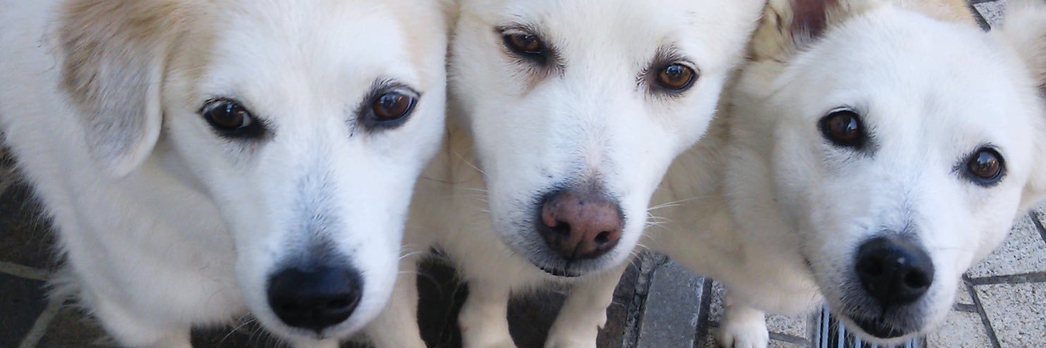 maynosuke111's profile banner image