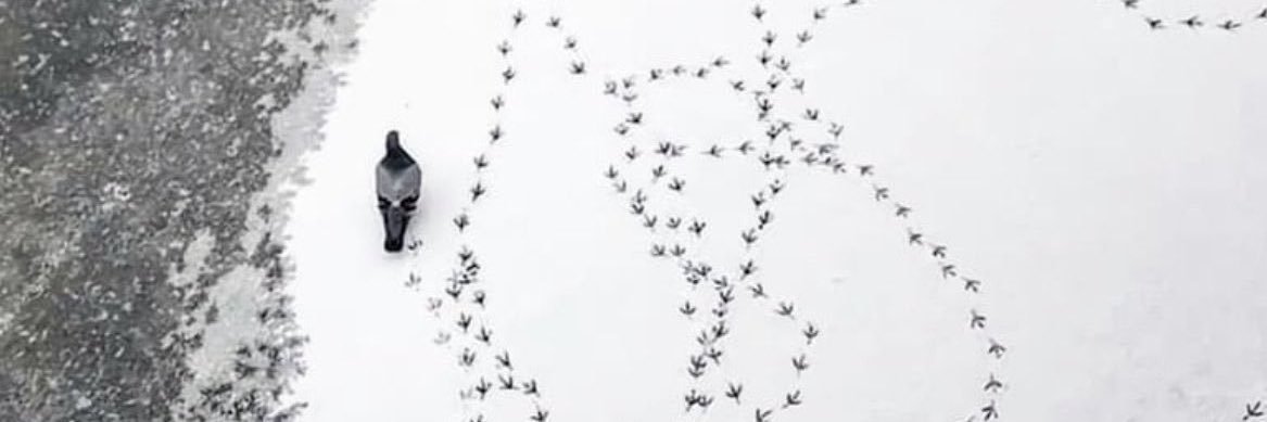 진짜내마음은뭘까 banner